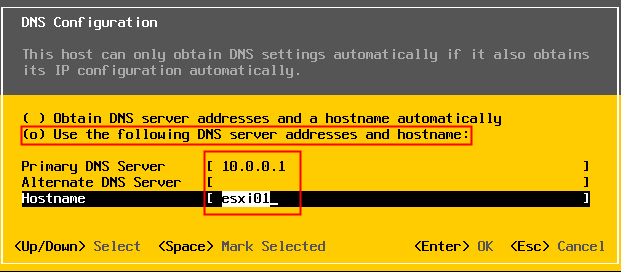 ESXi - DNS