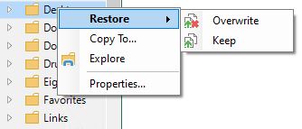 Restore Optionen im Backup Explorer